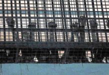 Brazil prison riot leaves 25 dead as victims are beheaded and burned alive, reports say Brazil prison riot leaves 25 dead as victims are beheaded and burned alive, reports say