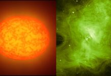 NASA Discovers Pumpkin Stars, Bigger And Better Than Sun (Video) NASA Discovers Pumpkin Stars, Bigger And Better Than Sun (Video)