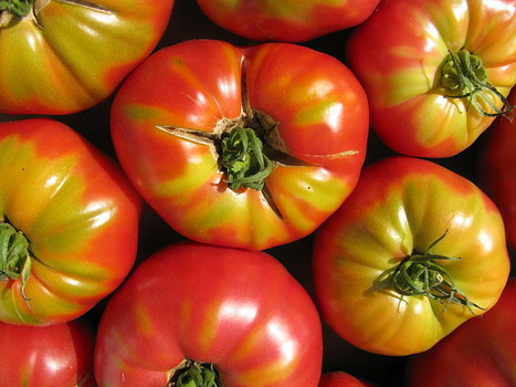 New process makes electricity from tomato waste