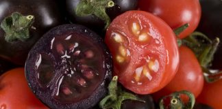 Ready to try purple bread? The new wannabe superfood Ready to try purple bread? The new wannabe superfood