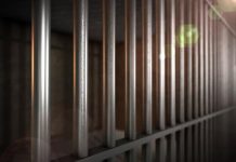 Two Michigan brothers released after terrorism probe in Tunisia Two Michigan brothers released after terrorism probe in Tunisia