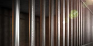 Two Michigan brothers released after terrorism probe in Tunisia Two Michigan brothers released after terrorism probe in Tunisia