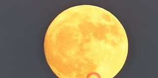 Alien Attack: Supermoon UFO video emerges on the web Alien Attack: Supermoon UFO video emerges on the web