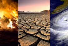 Climate change is affecting all life on Earth – and that’s not good news for humanity (Study) Climate change is affecting all life on Earth – and that’s not good news for humanity (Study)