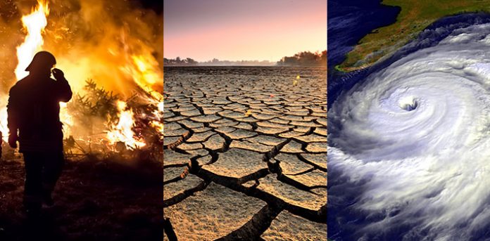 Climate change is affecting all life on Earth – and that’s not good news for humanity (Study)