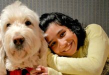 Fry V. Napoleon: Justices sympathetic to girl suing school over service dog Fry V. Napoleon: Justices sympathetic to girl suing school over service dog