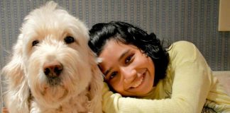 Fry V. Napoleon: Justices sympathetic to girl suing school over service dog Fry V. Napoleon: Justices sympathetic to girl suing school over service dog
