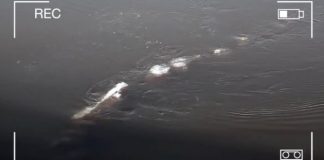 ‘Ice monster’ appears in Alaska’s Chena River (Video) 'Ice monster' appears in Alaska's Chena River (Video)