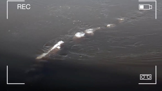 'Ice monster' appears in Alaska's Chena River (Video)