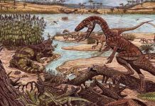 New fossil rewrites the history of the dinosaurs, new research New fossil rewrites the history of the dinosaurs, new research