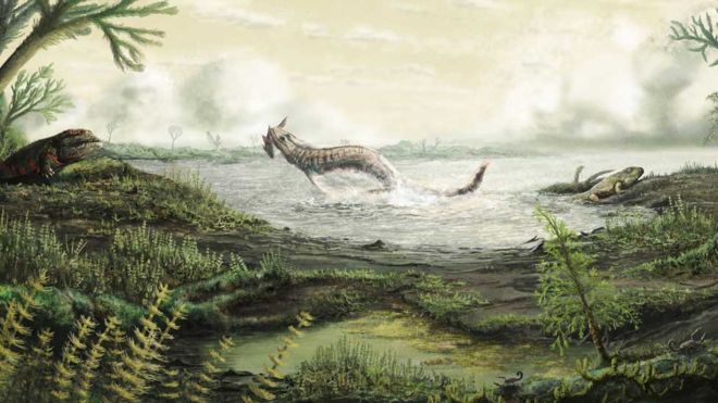 Fossils tell story of first life on land, finds new research