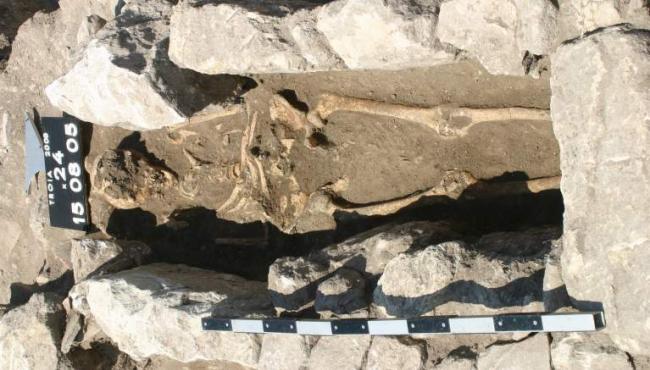 Fossilized bones reveal 800-year-old infection, says new research