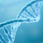 Autism linked to cognitive genes, Researchers Say Autism linked to cognitive genes, Researchers Say