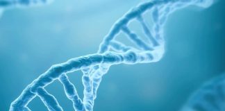 Autism linked to cognitive genes, Researchers Say Autism linked to cognitive genes, Researchers Say