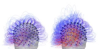 After 15 Years in a Vegetative State, Researchers Partly Restore Consciousness in Patient After 15 Years in a Vegetative State, Researchers Partly Restore Consciousness in Patient