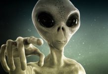 Alien search detects radio signals from dwarf galaxy, report Alien search detects radio signals from dwarf galaxy, report