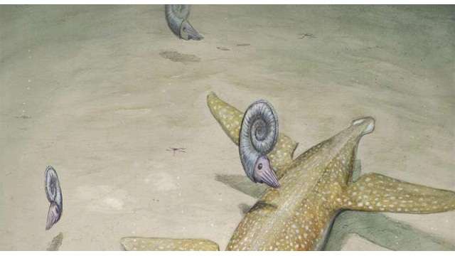 Benjamin Kear: Scientist identify a 190-million-year-old sea monster