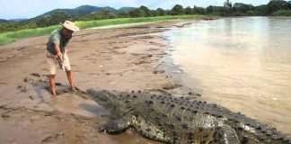 British journalist: Crocodile suspected in death of UK reporter in Sri Lanka British journalist: Crocodile suspected in death of UK reporter in Sri Lanka