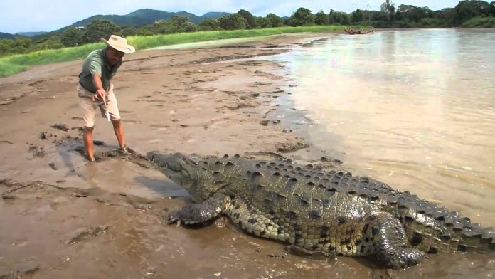 British journalist: Crocodile suspected in death of UK reporter in Sri Lanka