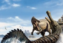 Mega Dinosaur-eating crocodile discovered in Texas, says new study Dinosaur-eating crocodile discovered in Texas, says new research