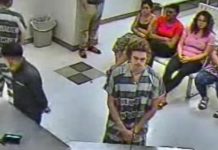 Jean-Claude Van Damme’s son arrested (Watch) Jean-Claude Van Damme's son arrested