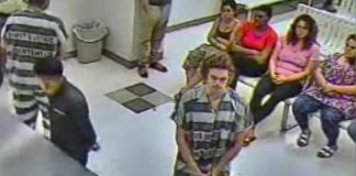 Jean-Claude Van Damme’s son arrested (Watch) Jean-Claude Van Damme's son arrested