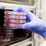 Nanomachines drill holes into cancer cells, Says New Study Nanomachines drill holes into cancer cells, Says New Study