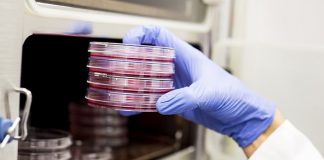 Nanomachines drill holes into cancer cells, Says New Study Nanomachines drill holes into cancer cells, Says New Study