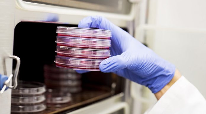 Nanomachines drill holes into cancer cells, Says New Study