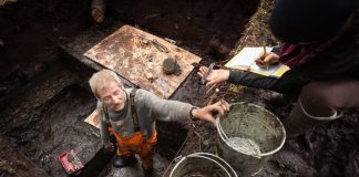 Triquet Island : Ancient Canadian village discovered that’s older than the pyramids Triquet Island : Ancient Canadian village discovered that's older than the pyramids