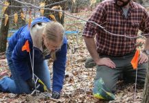 Carbon emissions from warm soils might intensify the Climate change issue, Scientists Say Carbon emissions from warm soils might intensify the Climate change issue, Researchers Say