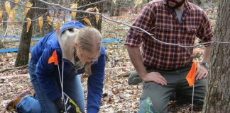 Carbon emissions from warm soils might intensify the Climate change issue, Scientists Say Carbon emissions from warm soils might intensify the Climate change issue, Researchers Say