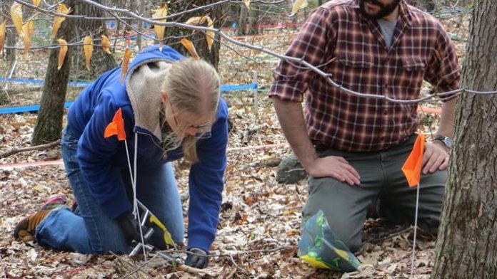 Carbon emissions from warm soils might intensify the Climate change issue, Researchers Say