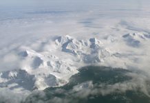 Ecosystem Exposed After Antarctica’s Giant Iceberg Broke Free, Says New Study Ecosystem Exposed After Antarctica's Giant Iceberg Broke Free, Says New Study