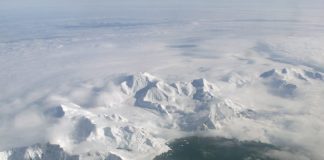 Ecosystem Exposed After Antarctica’s Giant Iceberg Broke Free, Says New Study Ecosystem Exposed After Antarctica's Giant Iceberg Broke Free, Says New Study