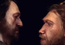Neanderthal DNA in humans may influence mood, sleep patterns: Scientists Say Neanderthal DNA in humans may influence mood, sleep patterns: Researchers Say