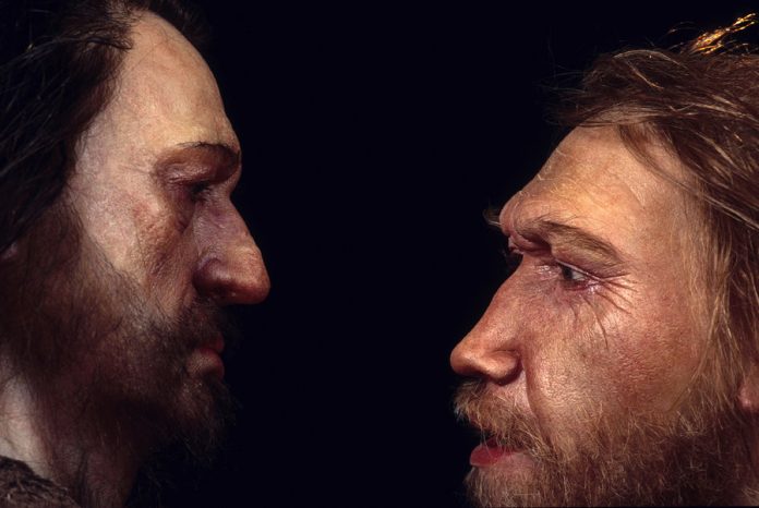 Neanderthal DNA in humans may influence mood, sleep patterns: Researchers Say