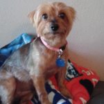 Texas Woman’s “Heart Attack” Was Actually a Broken Heart Texas Woman's 'Heart Attack' Was Actually a Broken Heart