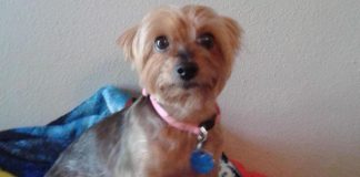 Texas Woman’s “Heart Attack” Was Actually a Broken Heart Texas Woman's 'Heart Attack' Was Actually a Broken Heart