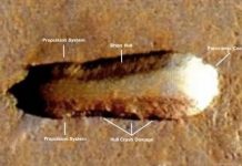 UFO hunter spots ‘alien mothership’ on Mars “Picture” UFO hunter spots 'alien mothership' on Mars (Picture)