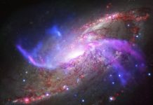 A1689B11: 11-billion-year-old galaxy found to be oldest spiral galaxy A1689B11: 11-billion-year-old galaxy found to be oldest spiral galaxy