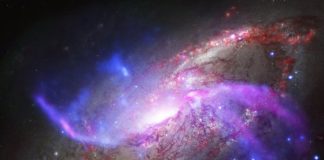 A1689B11: 11-billion-year-old galaxy found to be oldest spiral galaxy A1689B11: 11-billion-year-old galaxy found to be oldest spiral galaxy