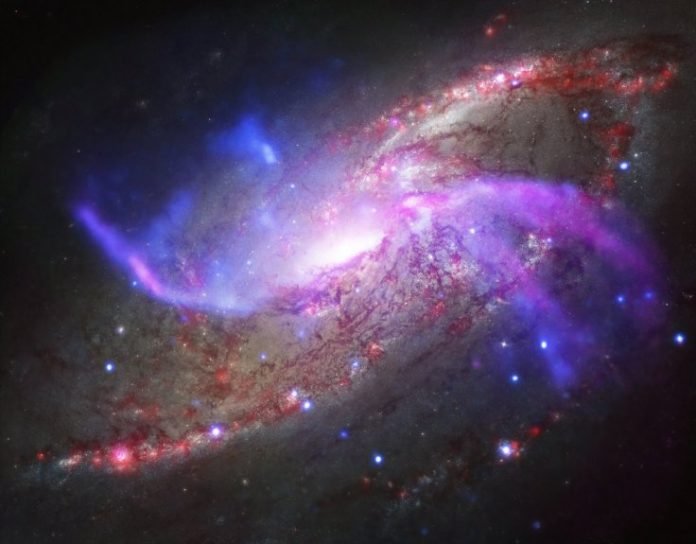 A1689B11: 11-billion-year-old galaxy found to be oldest spiral galaxy