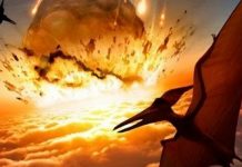 Dinosaurs Could Have Possibly Survived the Asteroid, says new Study Dinosaurs Could Have Possibly Survived the Asteroid, says new research