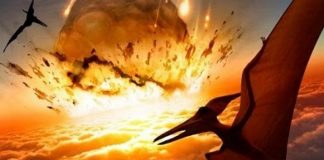 Dinosaurs Could Have Possibly Survived the Asteroid, says new Study Dinosaurs Could Have Possibly Survived the Asteroid, says new research