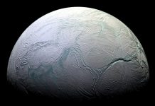 Enceladus Life may thrive in an underground ocean Enceladus Life may thrive in an underground ocean
