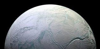 Enceladus Life may thrive in an underground ocean Enceladus Life may thrive in an underground ocean
