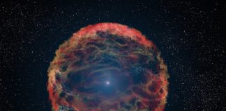 Scientists Discover A Star That Would Not Die Scientists Discover A Star That Would Not Die