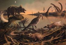 Scientists Find Fossils Of ‘Man’s Earliest Ancestors’ In England Scientists Find Fossils Of 'Man's Earliest Ancestors' In England