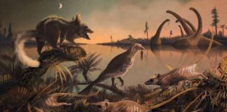 Scientists Find Fossils Of ‘Man’s Earliest Ancestors’ In England Scientists Find Fossils Of 'Man's Earliest Ancestors' In England